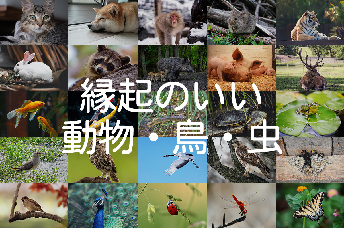 縁起のいい動物 鳥 虫 祈願やお祝いに動物モチーフのギフトを贈ろう きざむマガジン