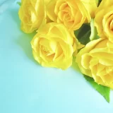 父の日の花は何？おすすめの“黄色い花”ギフトを紹介